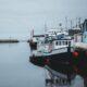 Moored boats in calm snowy port