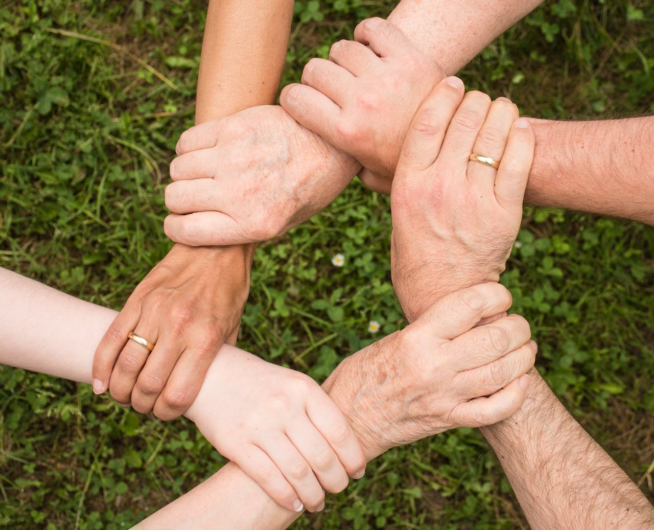 https://www.pexels.com/photo/group-of-people-holding-arms-461049/