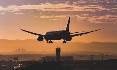 silhouette of landing airplane