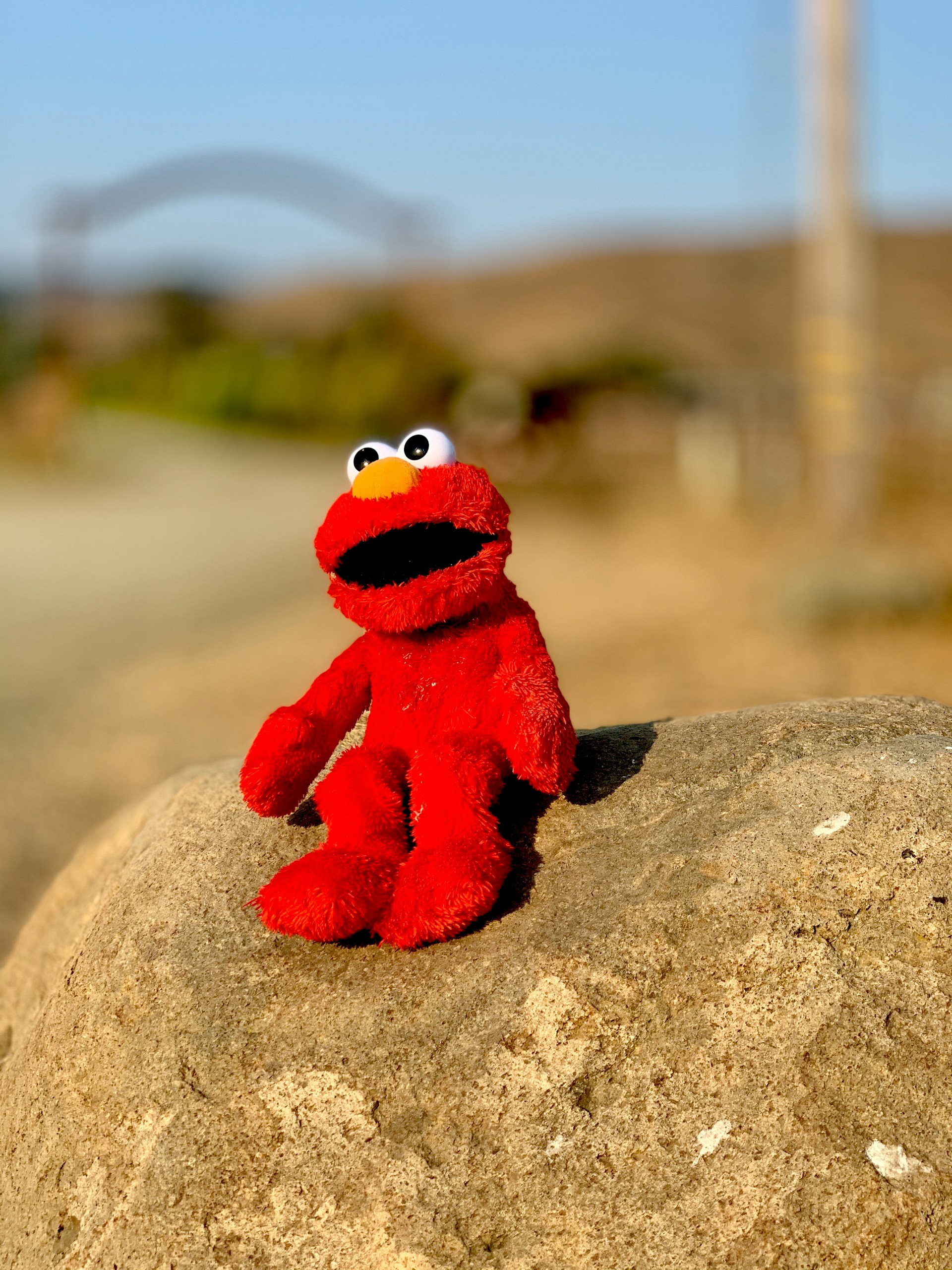 toy elmo