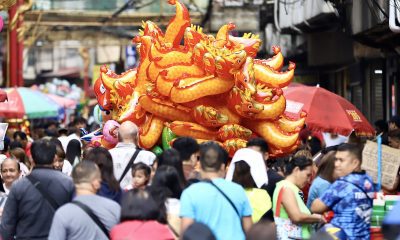 dragon chinese new year