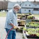 Farmer watering plants on farm