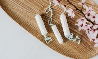 Cotton menstrual tampons and delicate flower branch on wooden board