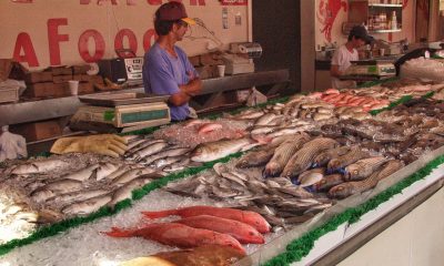 Fresh Fishes in Fish Market