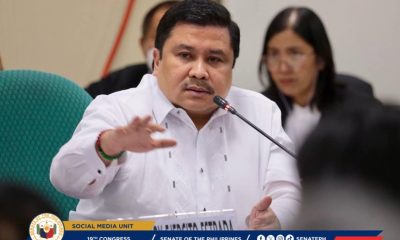 Senator Jinggoy Estrada