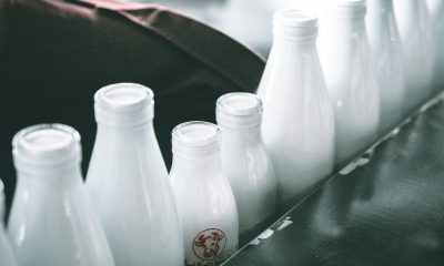 bottles of milk