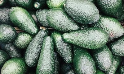 avocados