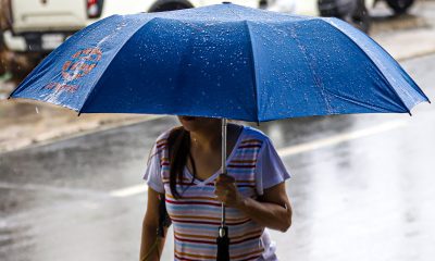 woman holding umbrella raining