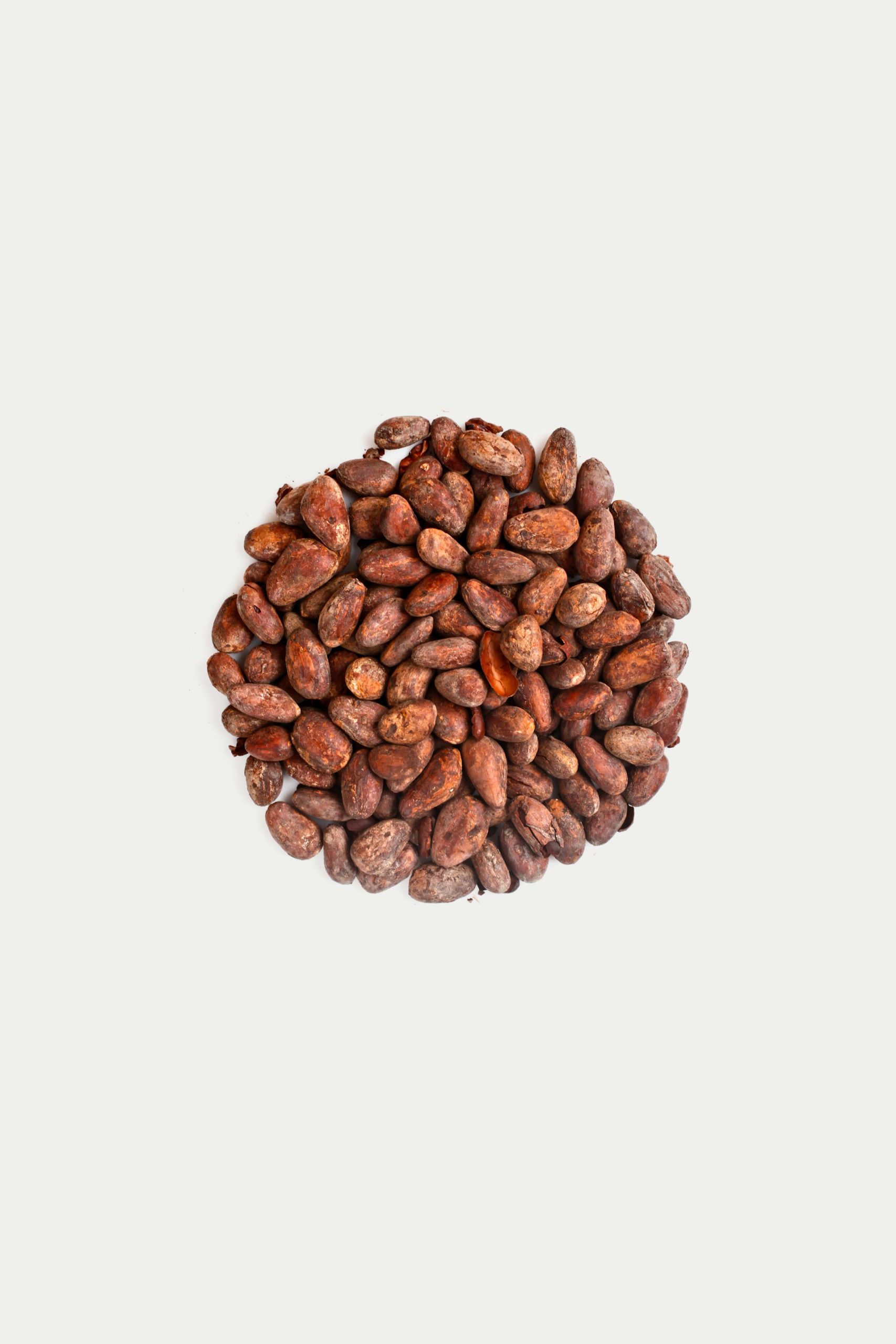 cocoa beans