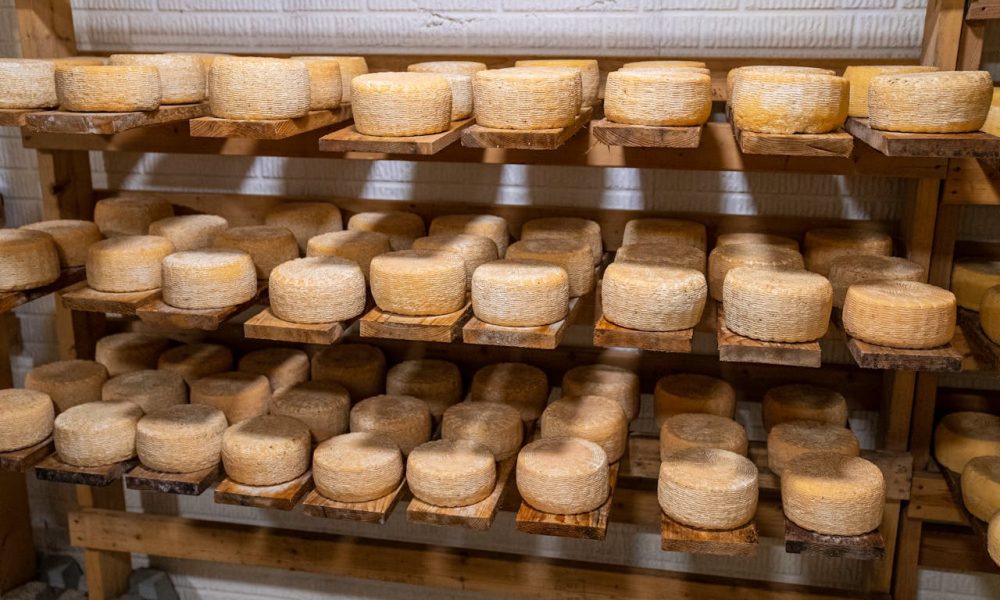 cheese wheels on shelf