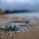 microplastics