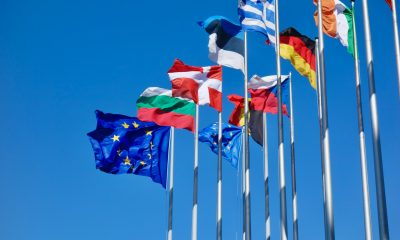 EU flags