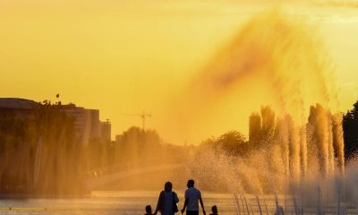 family silhouette